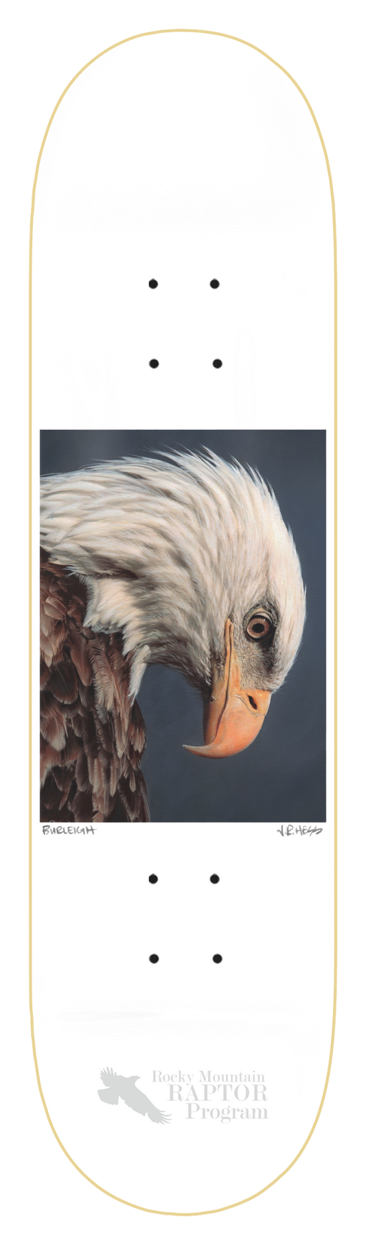 ZERO BURLEIGH BALD EAGLE 8.5" SKATEBOARD DECK