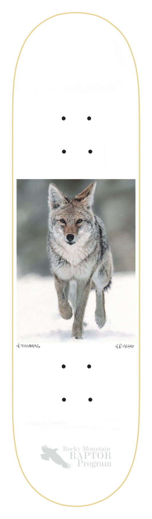 ZERO THOMAS COYOTE 8.5" SKATEBOARD DECK