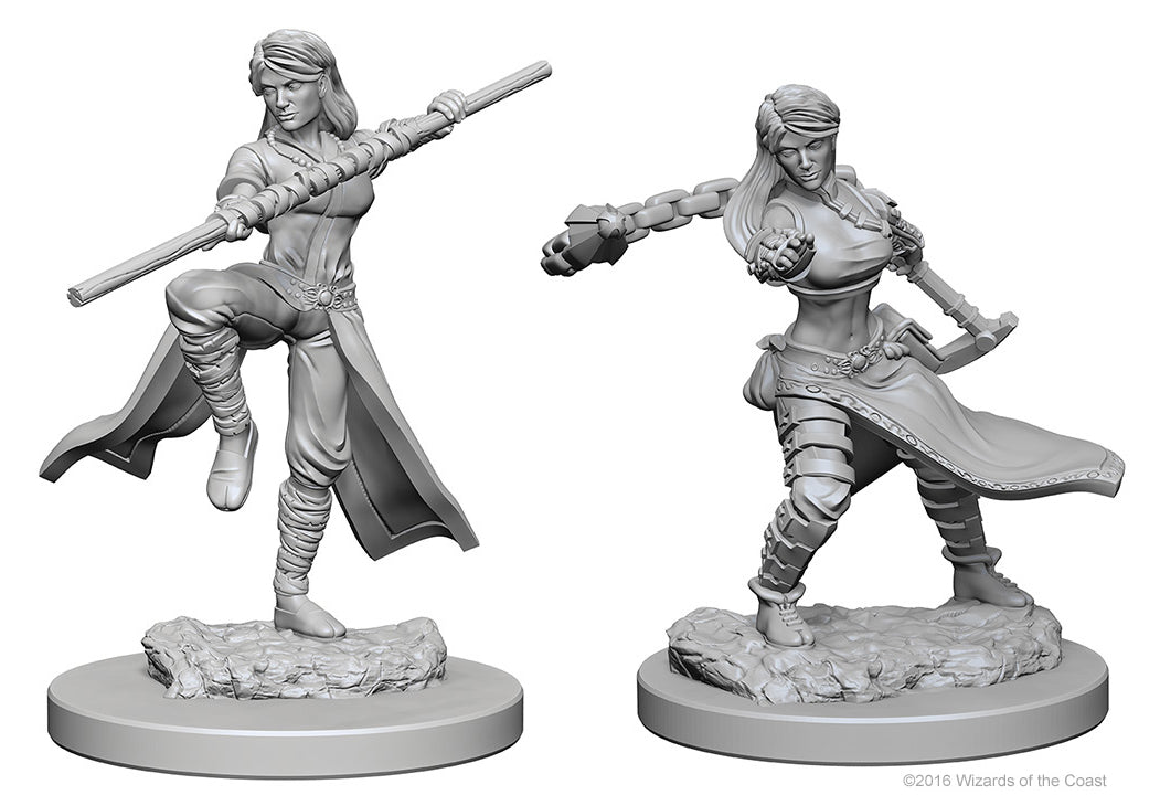 Dungeons & Dragons Nolzur`s Marvelous Unpainted Miniatures: W1 Human Female Monk