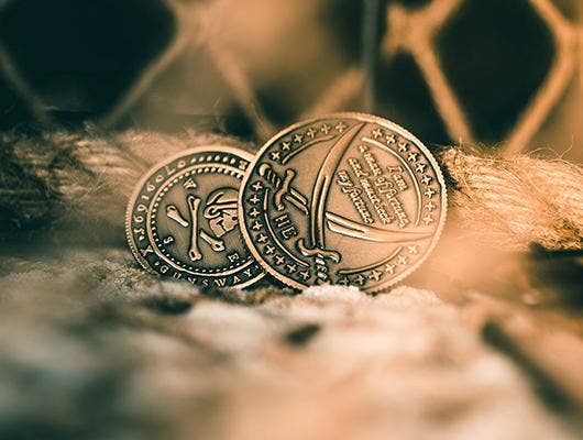 Pirate Coin Dollar Size