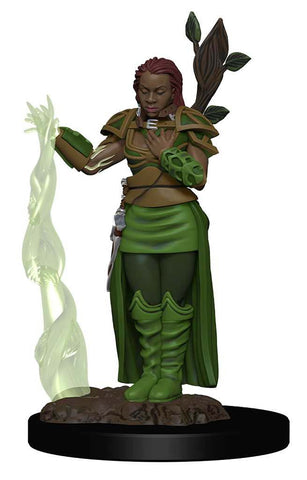 Dungeons & Dragons Icons of the Realms Premium Figures: W2 Human Female Druid