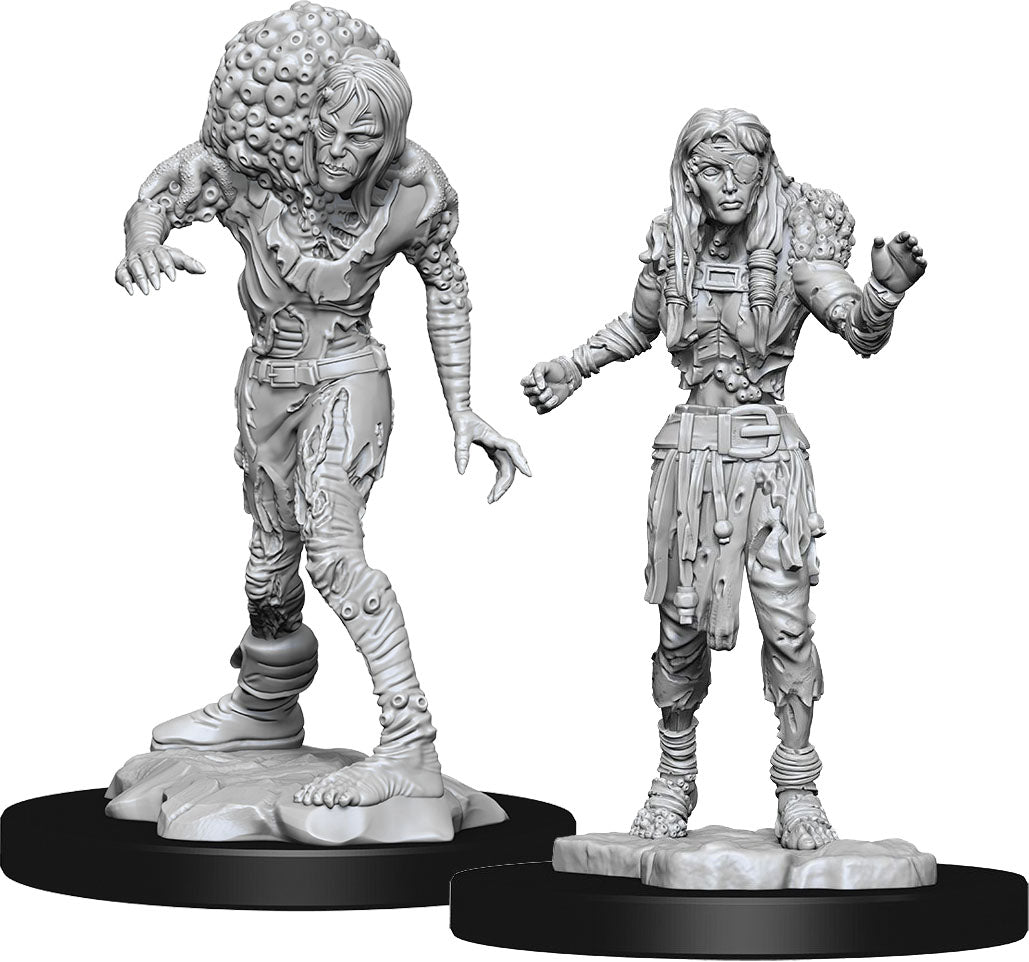 Dungeons & Dragons Nolzur`s Marvelous Unpainted Miniatures: W14 Drowned Assassin & Drowned Asetic