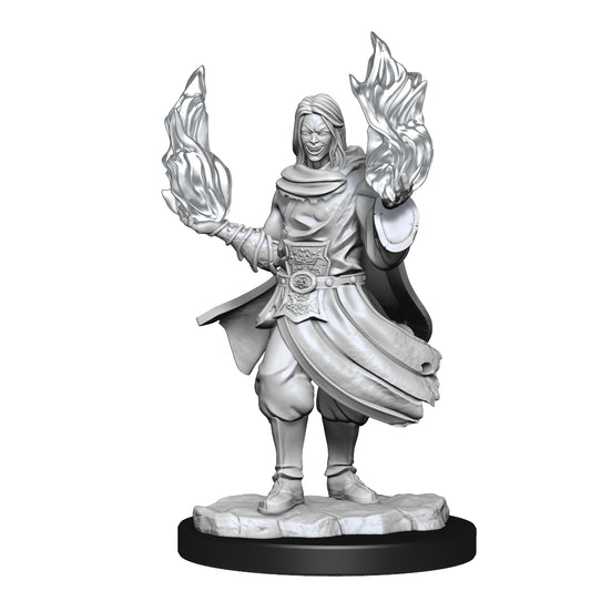 Critical Role Unpainted Miniatures: W01 Hollow One Rogue and Sorceror Male