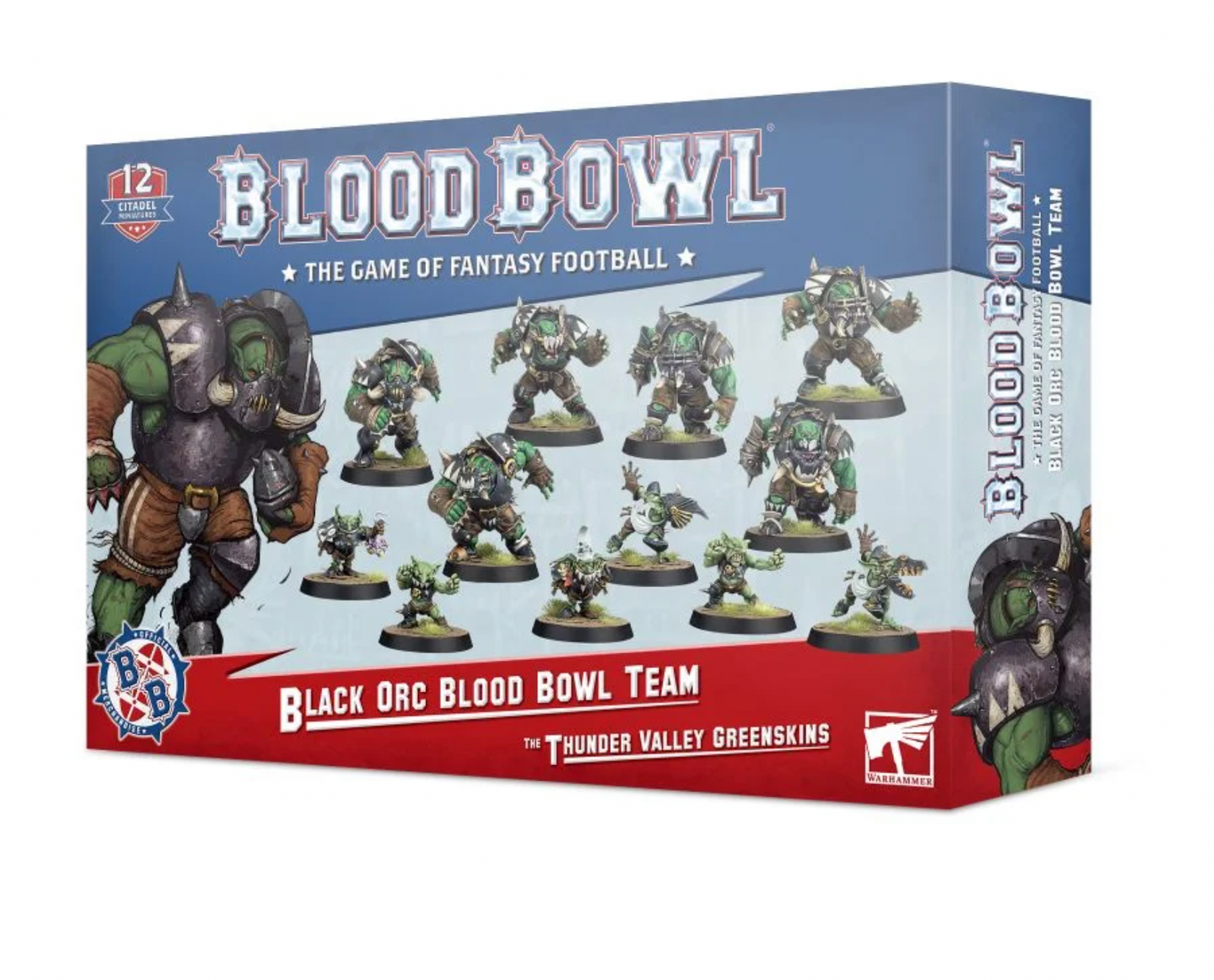 Black Orc Blood Bowl Team: The Thunder Valley Greenskins