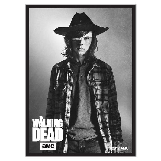 Walking Dead: Carl Sleeves (50)